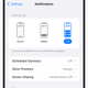 iOS notification options